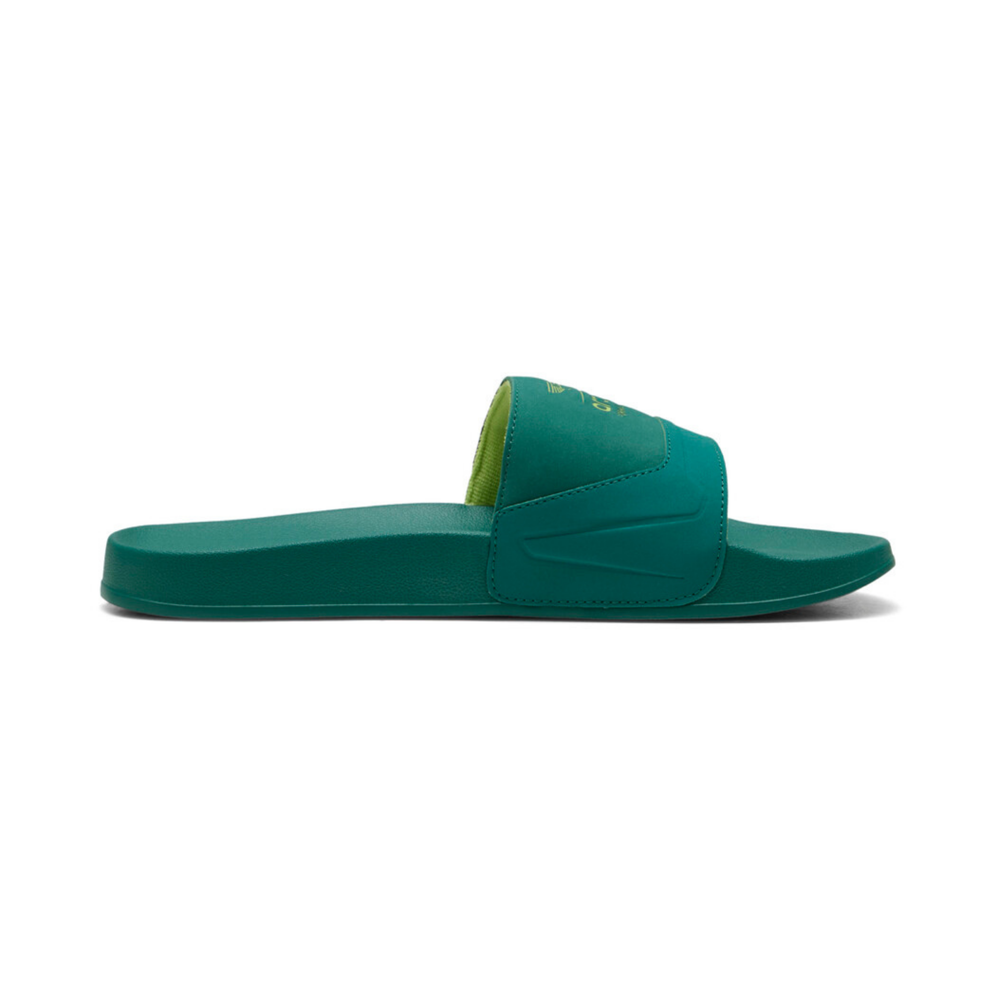 AMF1 LEADCAT 2.0 SLIDES