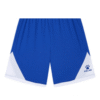 BLUE481