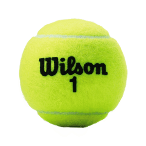 CHAMPIONSHIP EXTRA DUTY TENNIS BALL