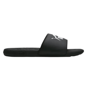 COOL CAT 2.0 SLIDES