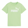 GREEN49