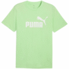 GREEN49