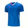 BLUE481