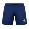 BLUE481