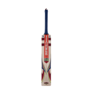 CRICKET BAT HYPERNOVA GEN 1.0 300