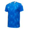 BLUE481