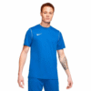BLUE463