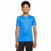 BLUE-463