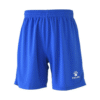 BLUE481