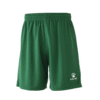 GREEN311